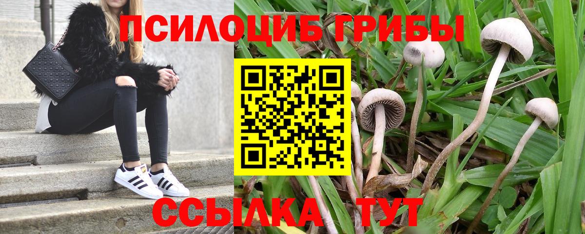 Псилоцибиновые грибы MAGIC MUSHROOMS  хочу   Усолье-Сибирское  Вход с VPN 